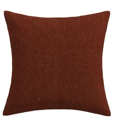 20" Meteor Burnt Orange Outdoor Pillow
