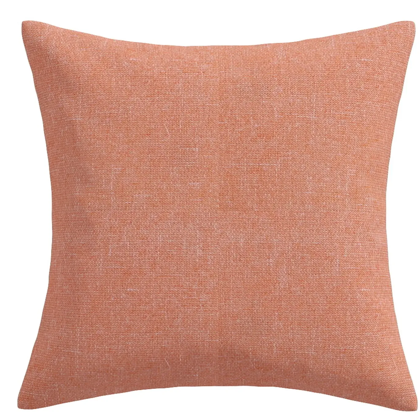 20" Meteor Coral Outdoor Pillow