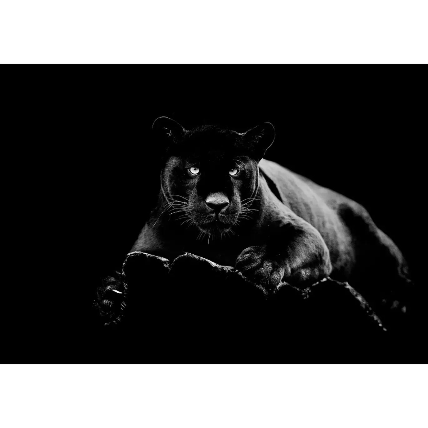 60" x 40" Black Panther Glass Wall Art