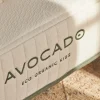 Avocado Eco Kids