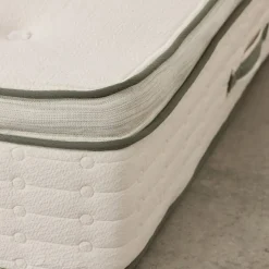 Avocado Green Mattress Plush Eastern King Mattress