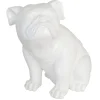 Bull Dog Accent