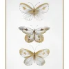 Butterflies Wall Art