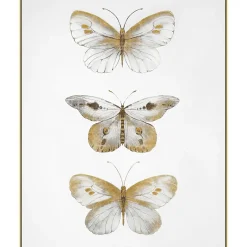 Butterflies Wall Art