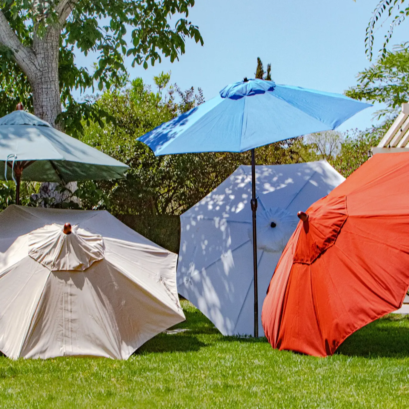 Coral Coast Cantilever Umbrella