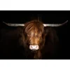 Hyland Cow Glass Wall Art