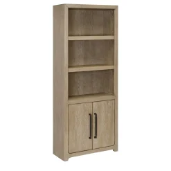 Perry Bookcase with doors