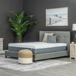 Pro Hybrid Medium Twin Xtra Long Mattress & Contempo IV Adjustable Power Base