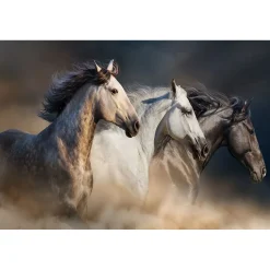 Running Horses Glass Wall Art