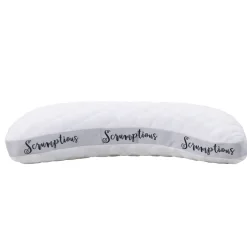 Scrumptious Pillow