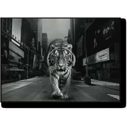 Tiger in the City Wall Art