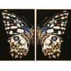 52x52 S/2 Butterfly Wall Art Wall Art